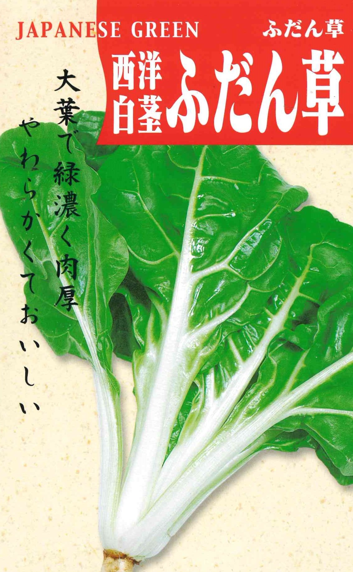 西洋白茎ふだん草　小袋（30ml）｜サムネイル