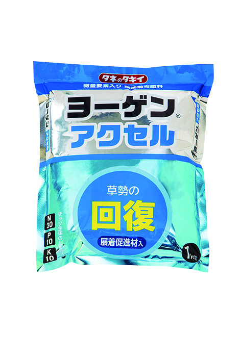 【タキイ種苗】ヨーゲンアクセル　１㎏｜サムネイル