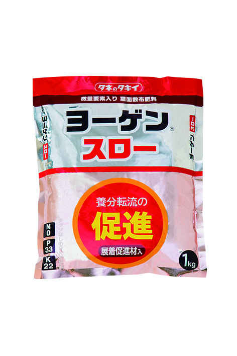 【タキイ種苗】ヨーゲンスロー　１㎏｜サムネイル