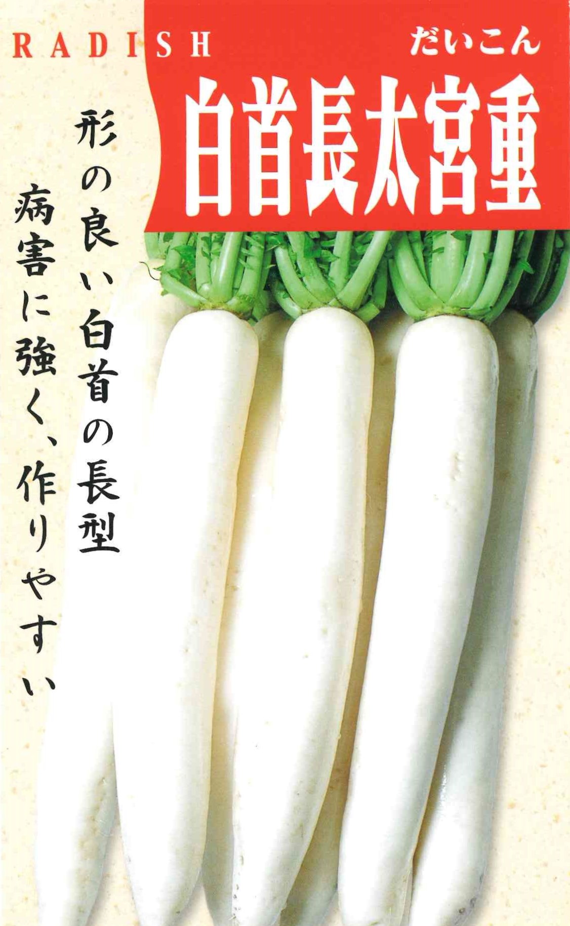 白首長太宮重大根（10ml）｜サムネイル