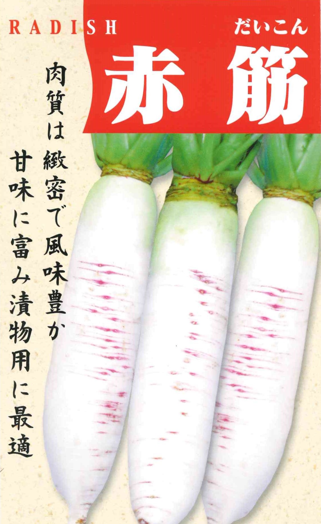 赤筋　大根（10ml）｜サムネイル
