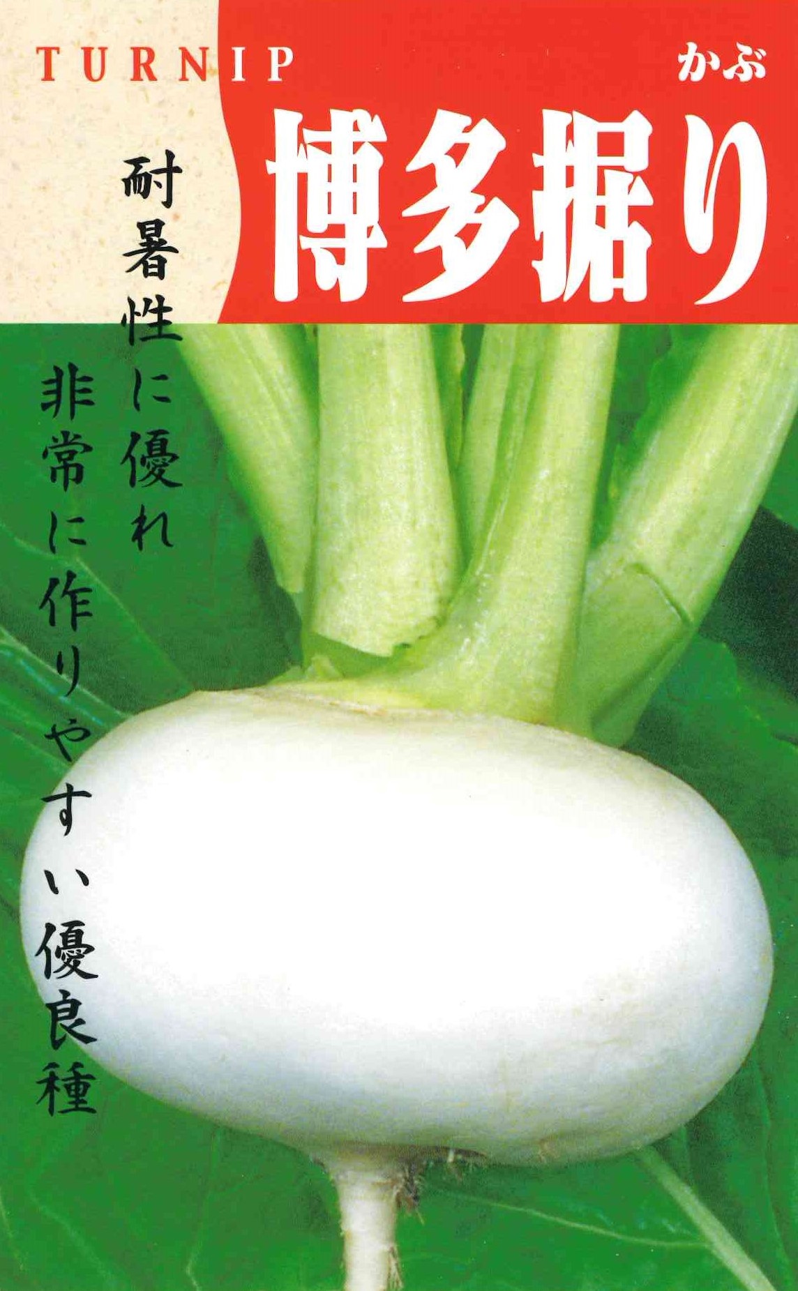 博多据りかぶ（7ml）｜サムネイル