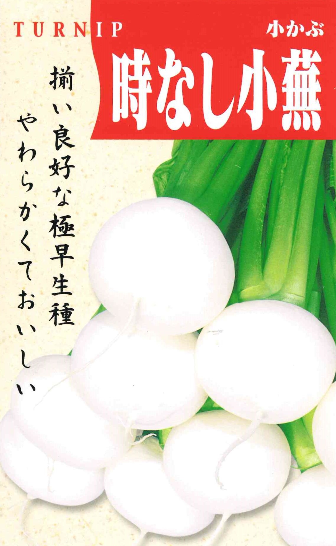 時なし小蕪（6ml）｜サムネイル