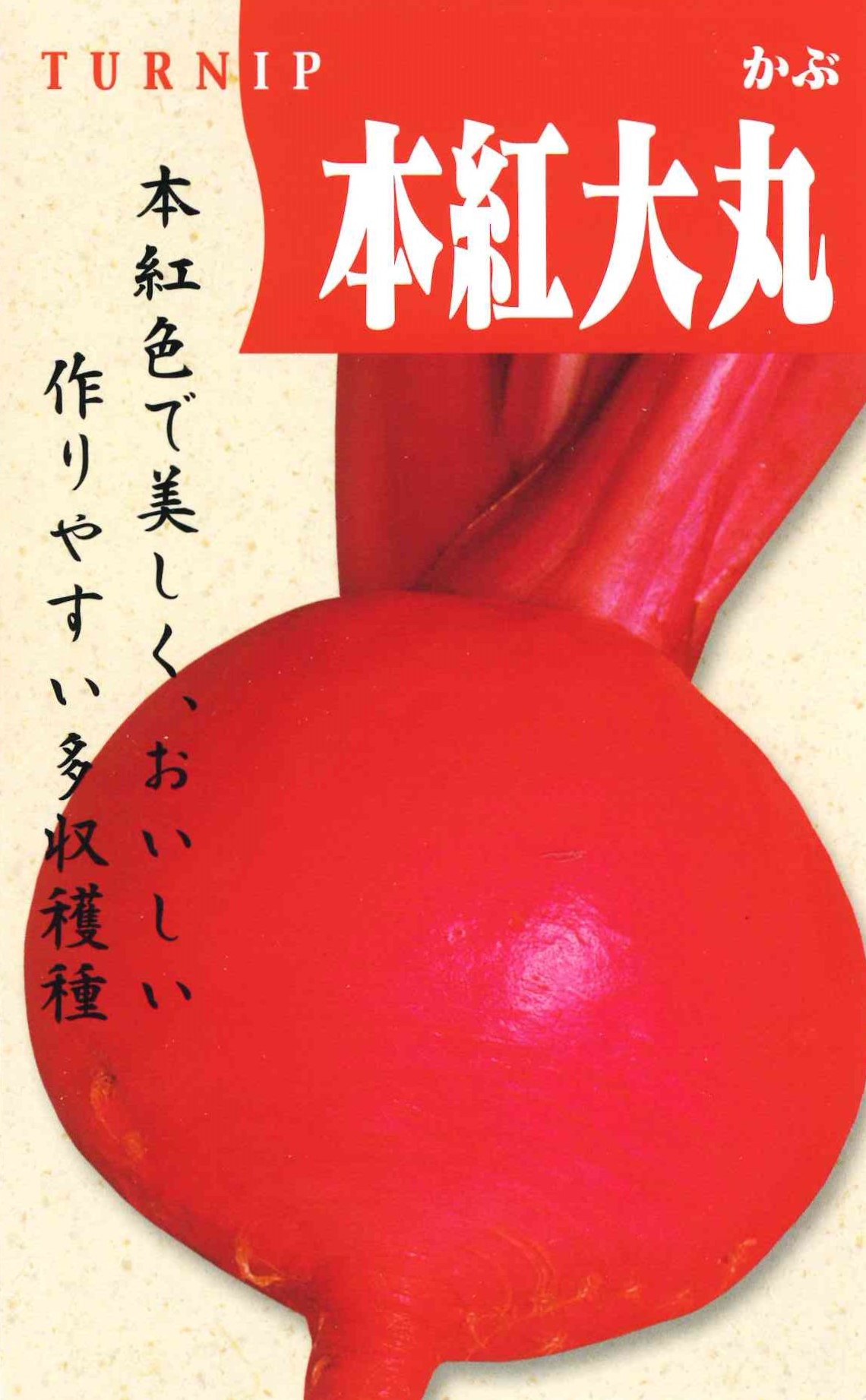 本紅大丸かぶ（7ml）｜サムネイル