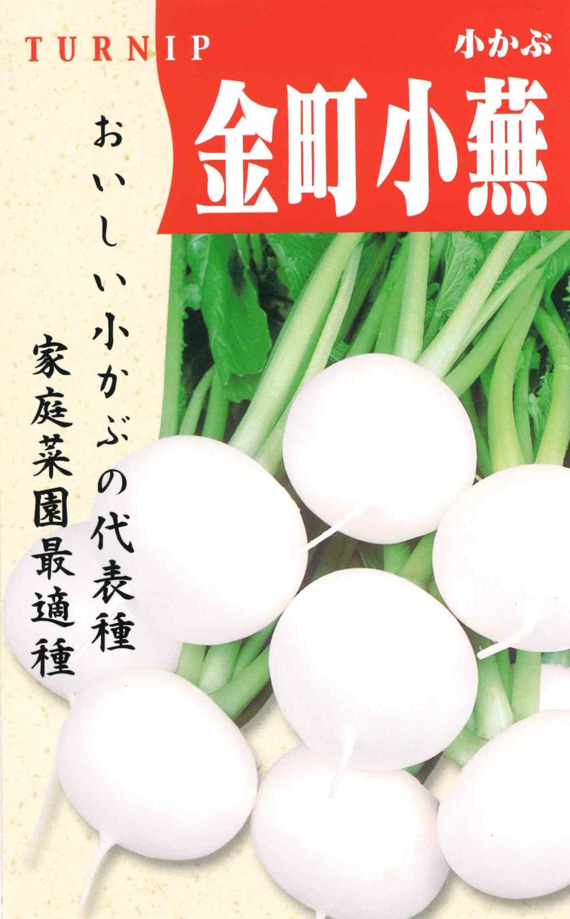 金町小蕪（6ml）｜サムネイル