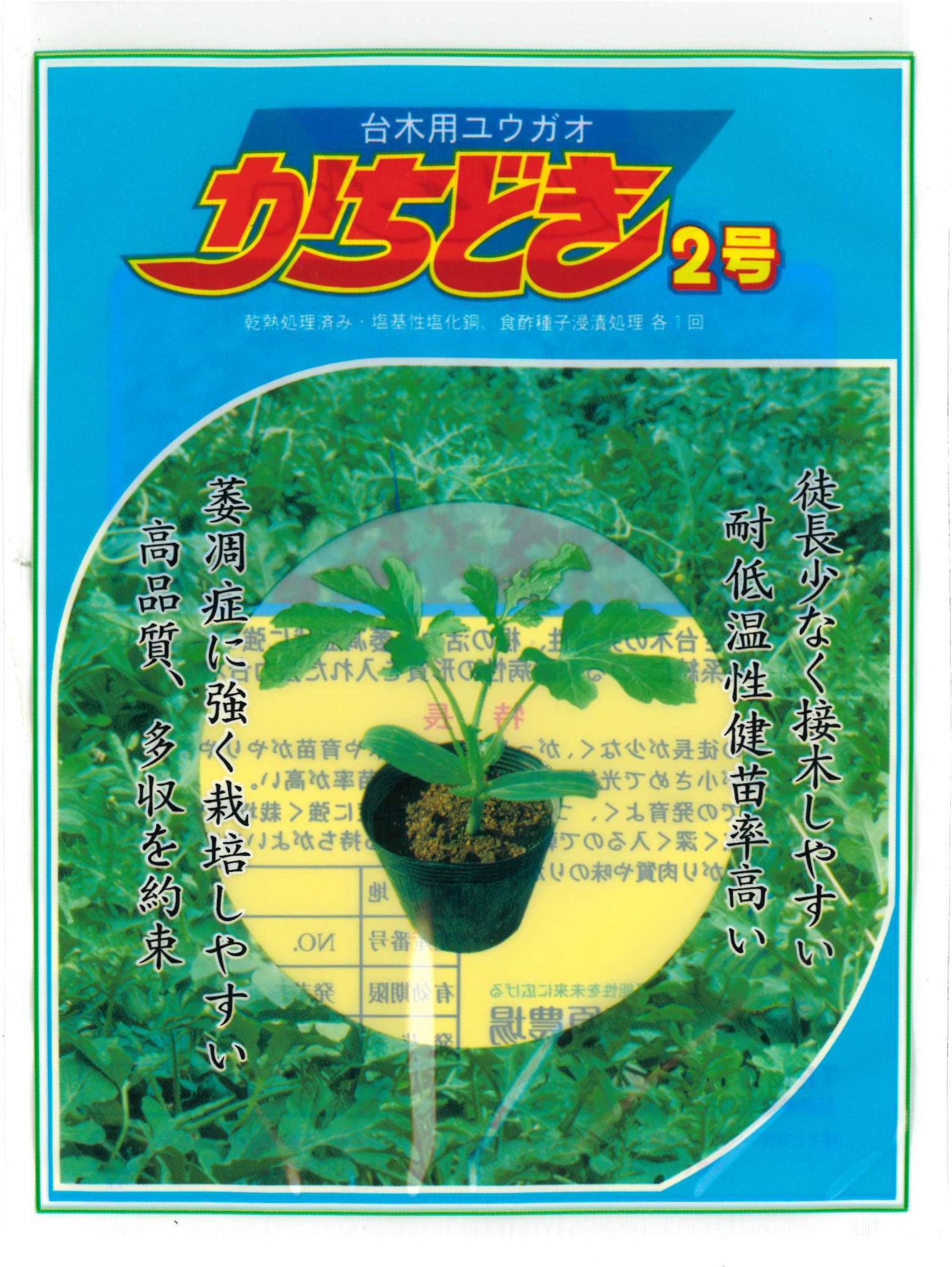 【萩原農場】ユウガオ台木　かちどき2号｜サムネイル