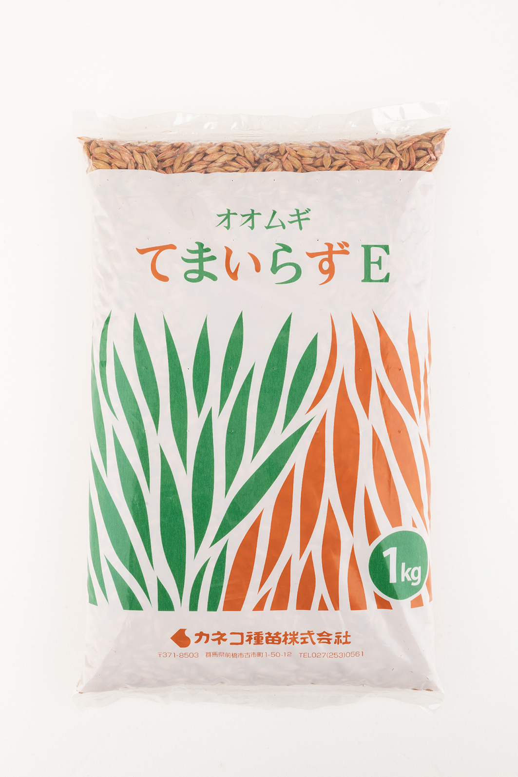 【カネコ種苗】オオムギ　てまいらずE｜サムネイル