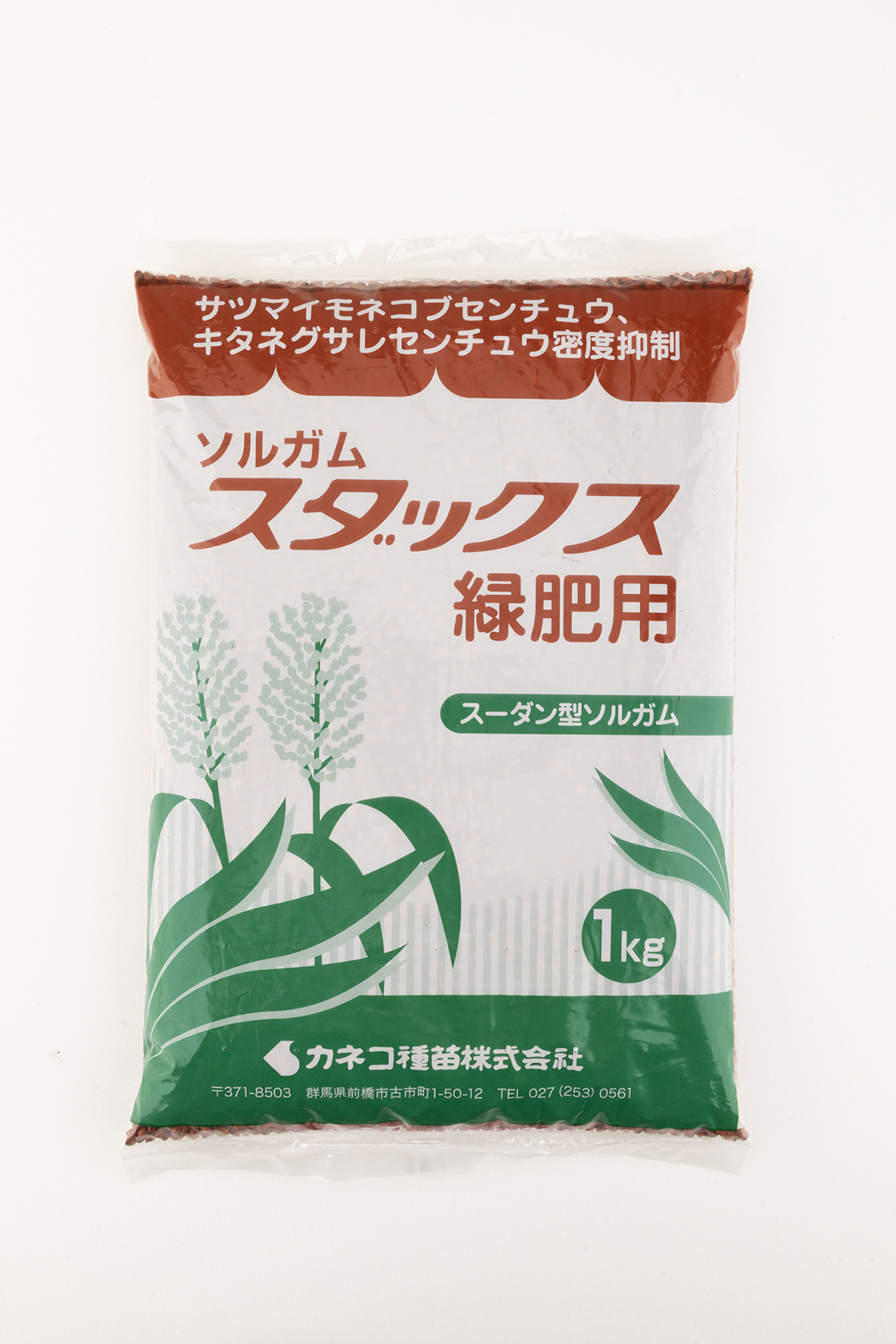【カネコ種苗】ソルガム　スダックス緑肥用｜サムネイル